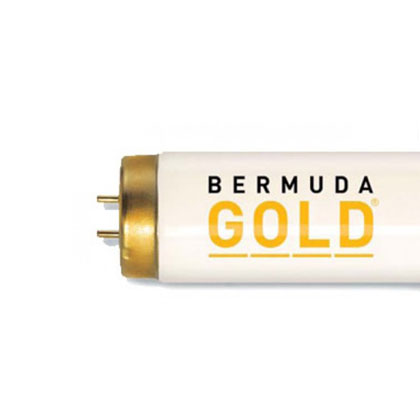 Bermuda Gold 1000 R 20/160 longmount 160W